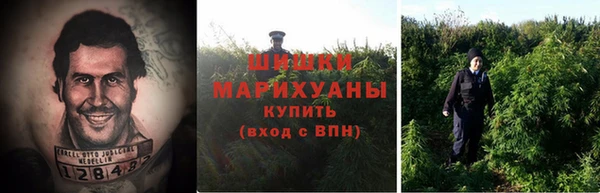 spice Гусев
