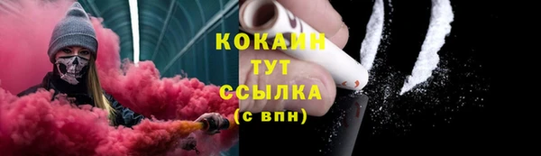 spice Гусев