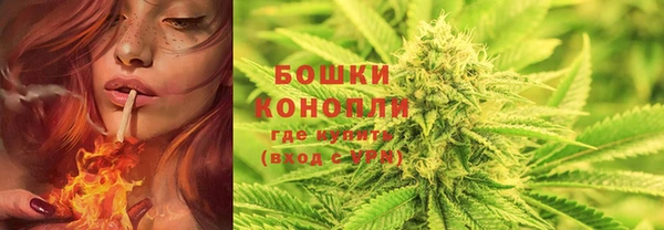 spice Гусев