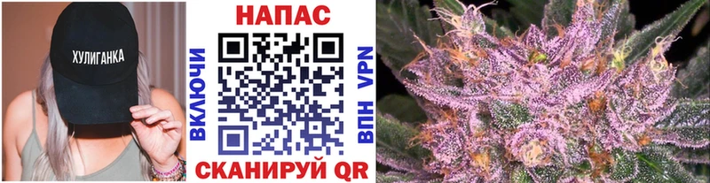 Купить где  Коряжма  Бошки марихуана семена 